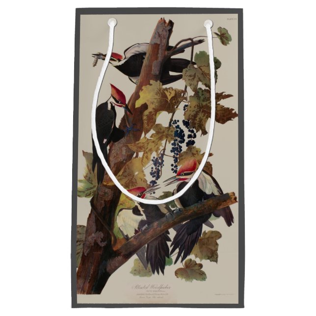Audubon Pileated Woodpecker Bird Painting Small Gift Bag (Front)