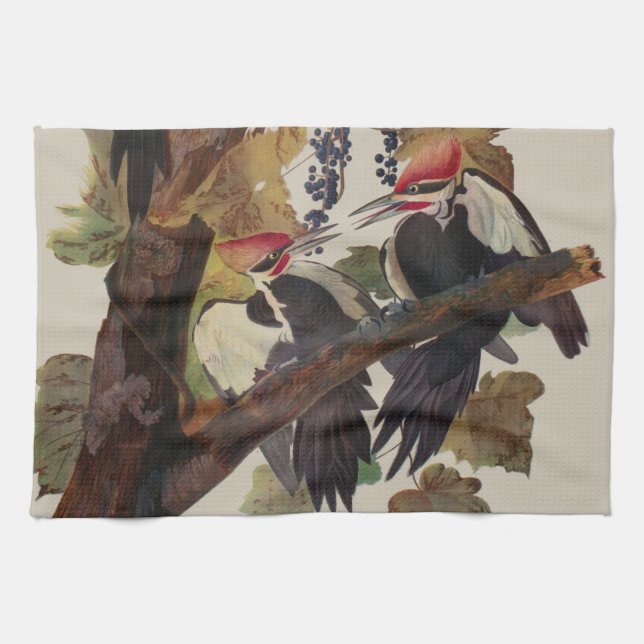Audubon Pileated Woodpecker Bird Painting Tea Towel (Horizontal)