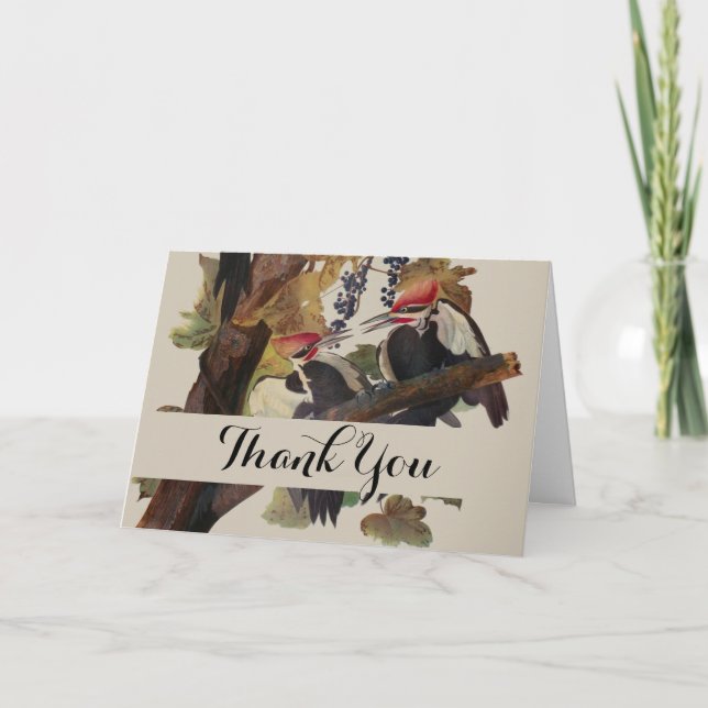 Audubon Pileated Woodpecker Bird Painting Thank You Card (Front)