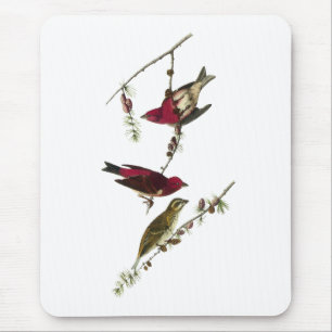 Audubon Purple Finch Mouse Pad
