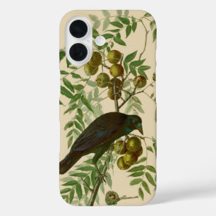 Audubon Purple Grackle Bird Print Vintage Botanic iPhone 16 Case