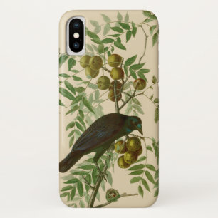 Audubon Purple Grackle Bird Print Vintage Botanic iPhone X Case