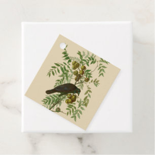 Audubon Purple Grackle Bird Print Vintage Botanic Favour Tags