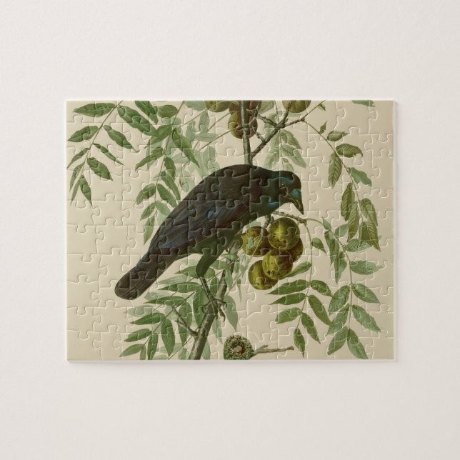 Audubon Purple Grackle Bird Print Vintage Botanic Jigsaw Puzzle (Horizontal)