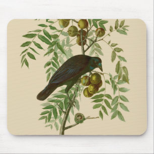 Audubon Purple Grackle Bird Print Vintage Botanic Mouse Pad