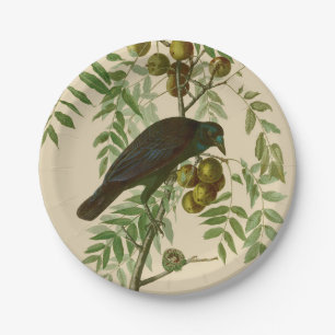 Audubon Purple Grackle Bird Print Vintage Botanic Paper Plate
