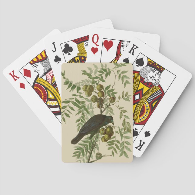 Audubon Purple Grackle Bird Print Vintage Botanic Playing Cards (Back)