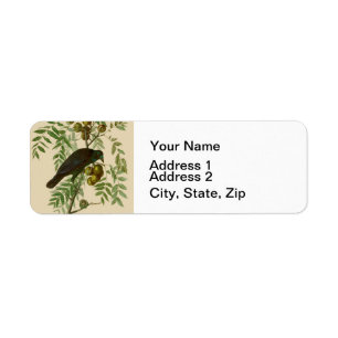 Audubon Purple Grackle Bird Print Vintage Botanic Return Address Label