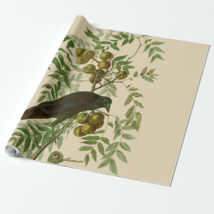 Audubon Purple Grackle Bird Print Vintage Botanic Wrapping Paper