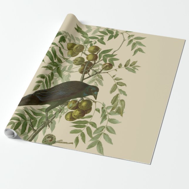 Audubon Purple Grackle Bird Print Vintage Botanic Wrapping Paper (Unrolled)