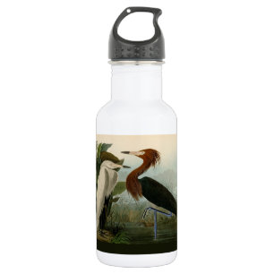 Audubon Purple Heron Reddish Egret Print: Bird Art 532 Ml Water Bottle