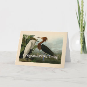 Audubon Purple Heron Reddish Egret Print: Bird Art Card