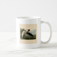Audubon Purple Heron Reddish Egret Print: Bird Art