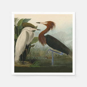 Audubon Purple Heron Reddish Egret Print: Bird Art Napkin