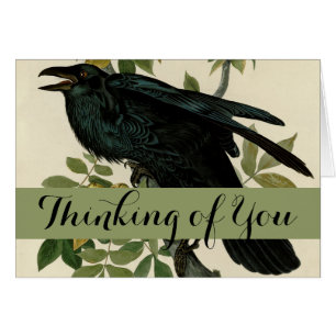 Audubon Raven Bird Classic Artwork