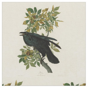 Audubon Raven Bird Classic Artwork Fabric