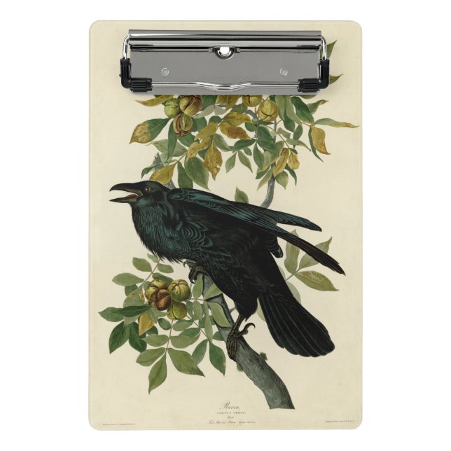 Audubon Raven Bird Classic Artwork Mini Clipboard (Front)