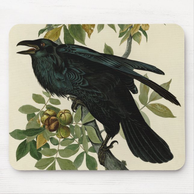 Audubon Raven Bird Classic Artwork Mouse Pad (Front)