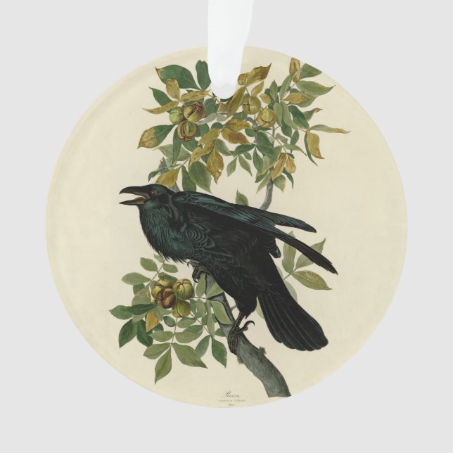 Audubon Raven Bird Classic Artwork Ornament (Front)