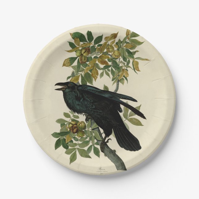 Audubon Raven Bird Classic Artwork Paper Plate (Front)