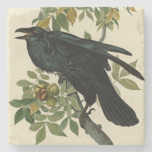Audubon Raven Bird Classic Artwork Stone Coaster