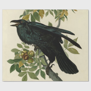 Audubon Raven Bird Classic Artwork Wrapping Paper