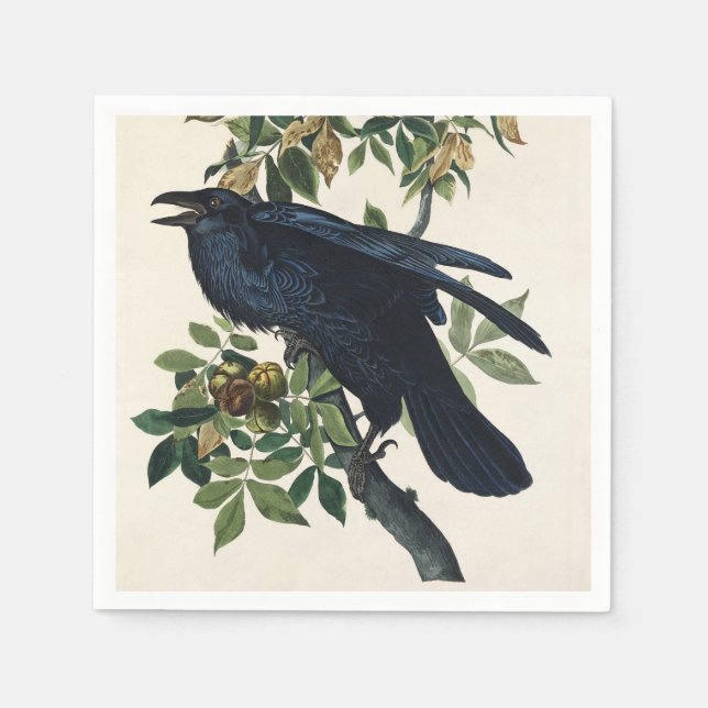 Audubon Raven Bird Classic Painting Napkin (Front)