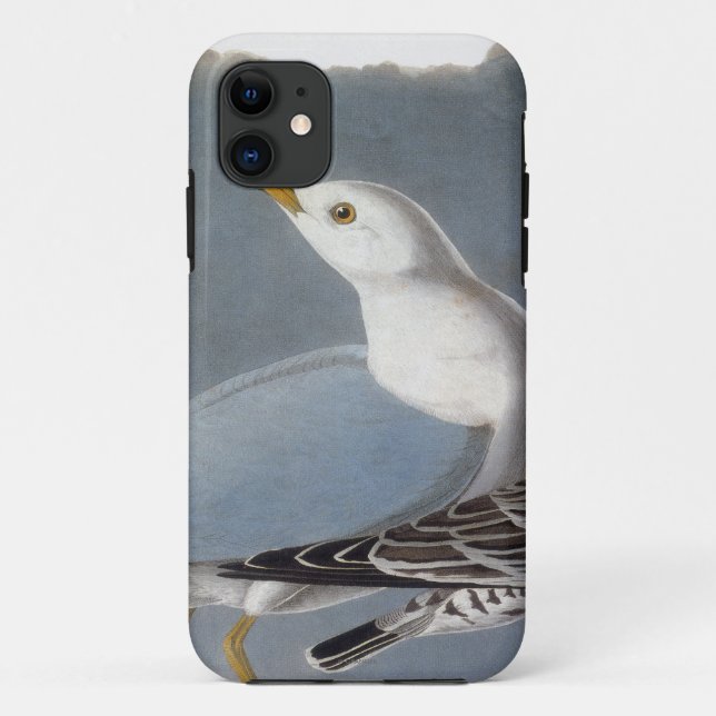 Audubon: Ring-Billed Gull Case-Mate iPhone Case (Back)