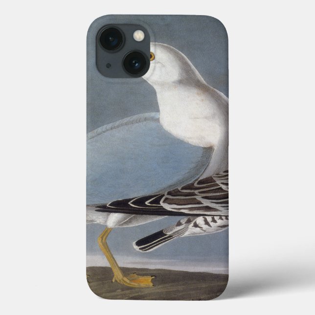 Audubon: Ring-Billed Gull Case-Mate iPhone Case (Back)