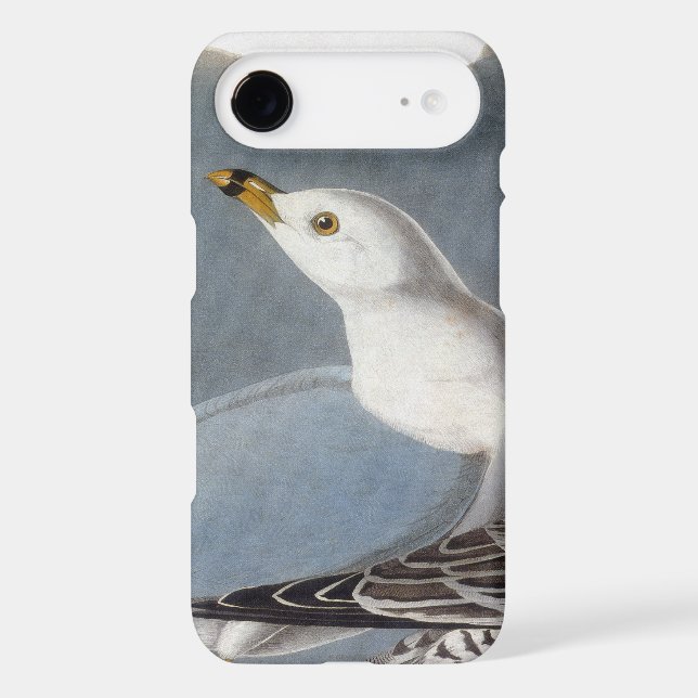 Audubon: Ring-Billed Gull Case-Mate Samsung Galaxy Case (Back)