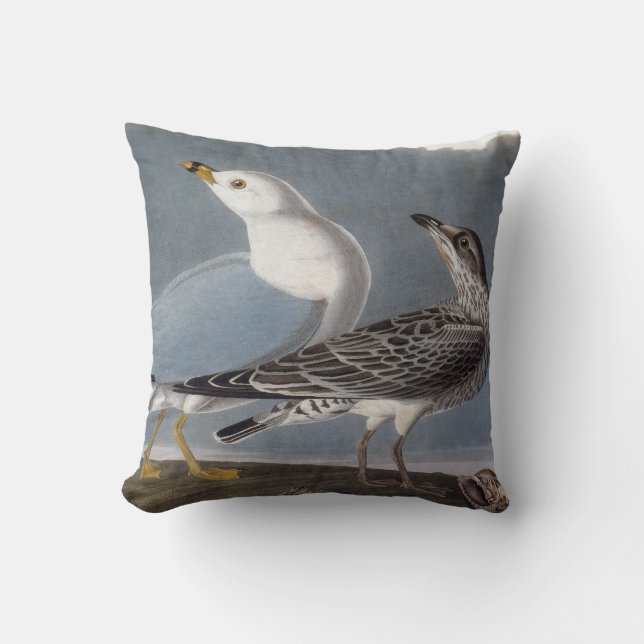 Audubon: Ring-Billed Gull Cushion (Front)