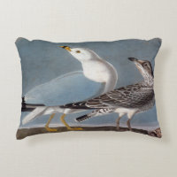 Audubon: Ring-Billed Gull