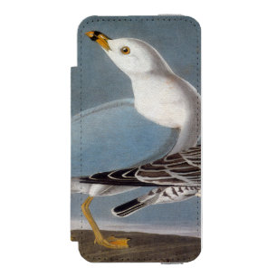 Audubon: Ring-Billed Gull Incipio Watson™ iPhone 5 Wallet Case