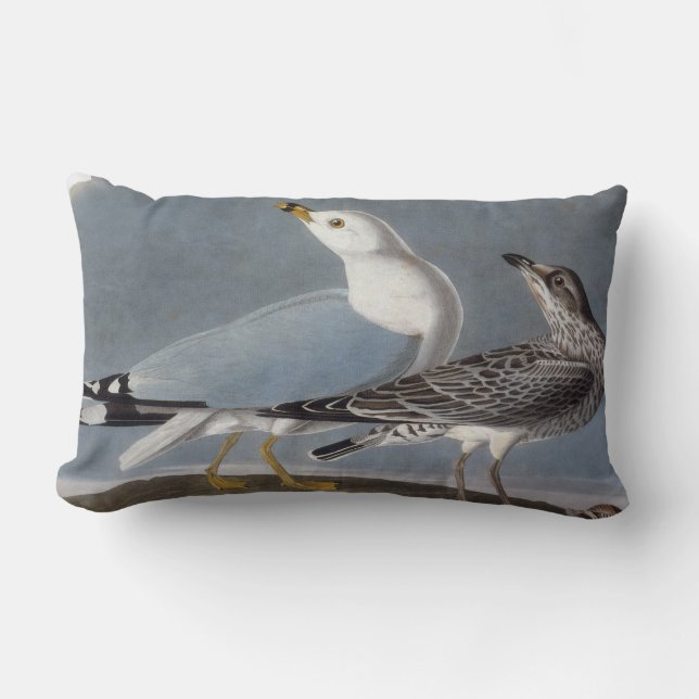 Audubon: Ring-Billed Gull Lumbar Cushion (Front)