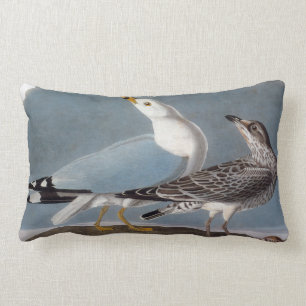 Audubon: Ring-Billed Gull Lumbar Cushion