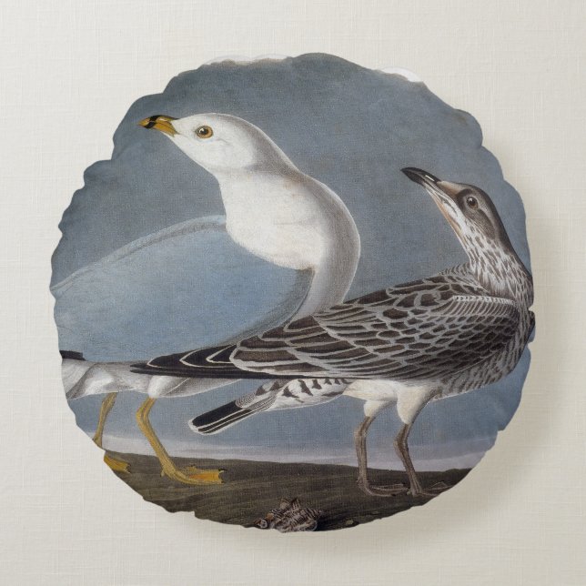 Audubon: Ring-Billed Gull Round Cushion (Front)