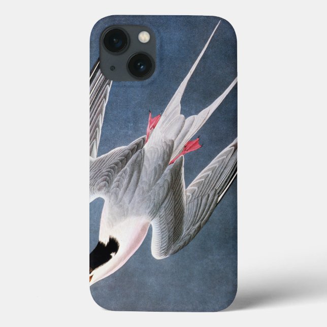 Audubon: Roseate Tern Case-Mate iPhone Case (Back)
