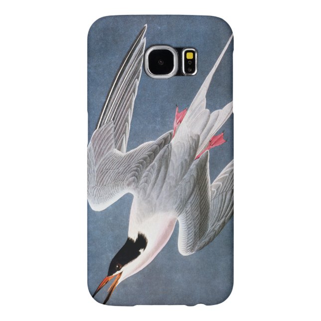Audubon: Roseate Tern Case-Mate Samsung Galaxy Case (Back)