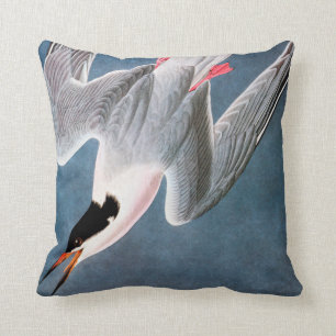 Audubon: Roseate Tern Cushion