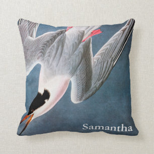 Audubon: Roseate Tern Cushion