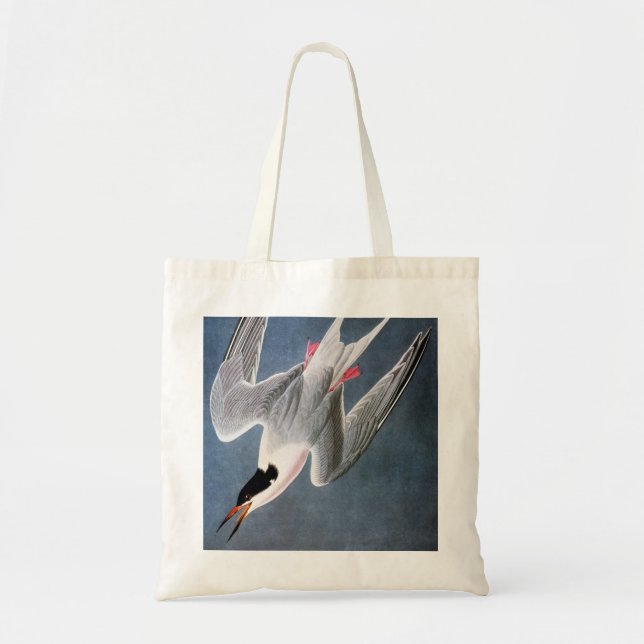 Audubon: Roseate Tern Tote Bag (Front)