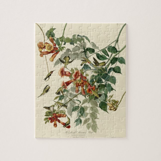 Audubon Ruby Throated Hummingbirds Jigsaw Puzzle (Vertical)