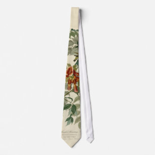 Audubon Ruby Throated Hummingbirds Tie