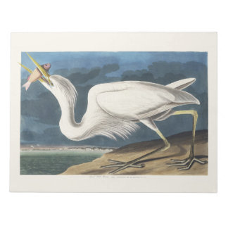 Audubon’s Great White Heron Wildlife Painting Notepad