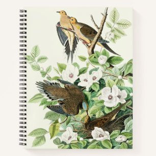 Audubon’s Morning Dove Carolina Pigeon Painting Notebook