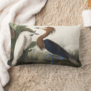 Audubon’s Purple Heron Bird Wildlife Artwork Lumbar Cushion