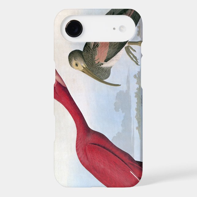 Audubon: Scarlet Ibis Case-Mate Samsung Galaxy Case (Back)