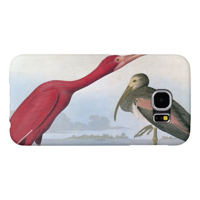 Audubon: Scarlet Ibis Case-Mate Samsung Galaxy Case (Back Horizontal)