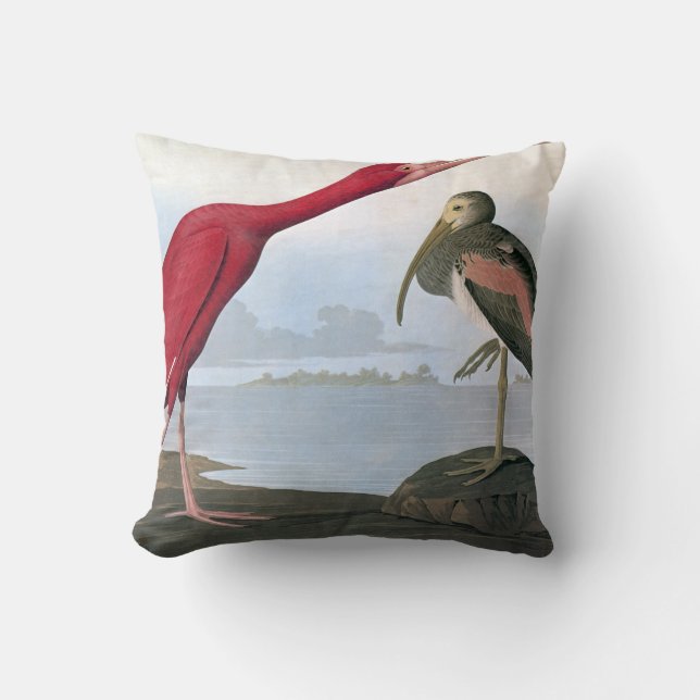 Audubon: Scarlet Ibis Cushion (Front)