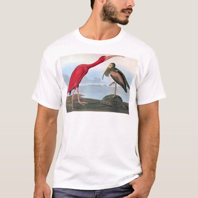 Audubon: Scarlet Ibis T-Shirt (Front)
